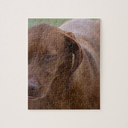 Great Vizsla Dog Legpuzzel (Verticaal)