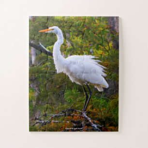 Great White Egret Florida Legpuzzel