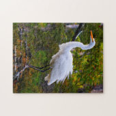 Great White Egret Floride Jigsaw Puzzle (Horizontal)