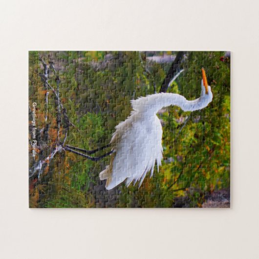 Great White Egret Floride Jigsaw Puzzle (Horizontal)