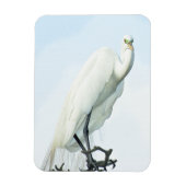 Great White Heron Portrait Magneet (Verticaal)