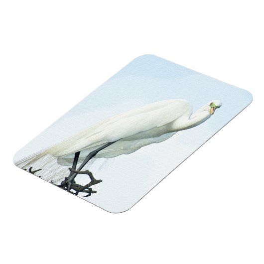 Great White Heron Portrait Magneet (Linkerzijde)