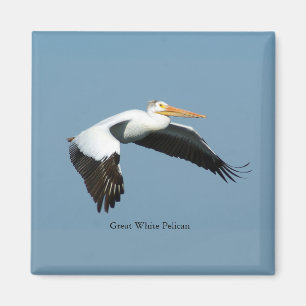 Great White Pelican sky magnet Magneet