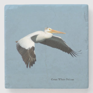 Great White Pelican stone onderzetter