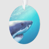 Great White Shark | Afrique du Sud (devant)