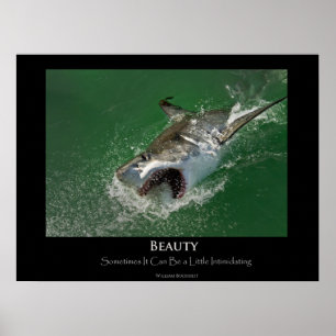 Great White Shark "Beauty"-Poster Poster
