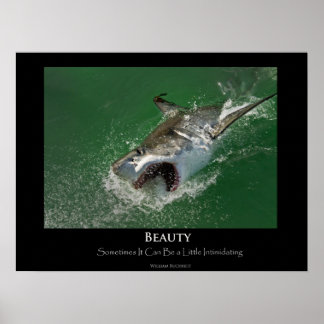 Great White Shark "Beauty"-Poster Poster