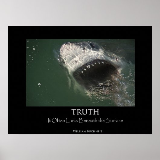 Great White Shark "Truth" Poster (Devant)