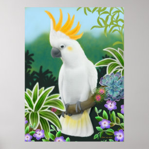 Greater Citron Cockatau Parrot Print