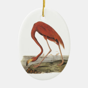 Greater Flamingo, John Audubon Keramisch Ornament