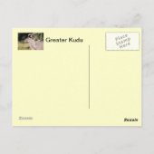 Greater Kudu Briefkaart (Achterkant)