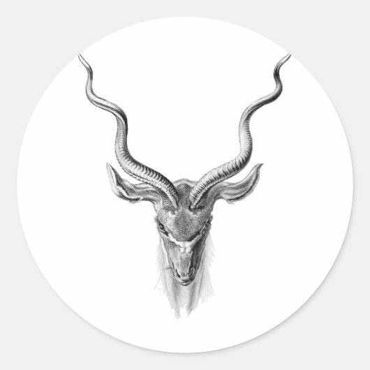 Greater Kudu Ronde Sticker (Voorkant)