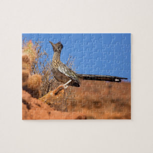 Greater Roadrunner Legpuzzel