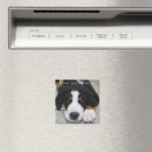 Greater Swiss Mountain Dog Magnet Magneet (Insitu (Vaatwasser))