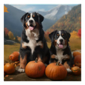Greater Swiss Mountain Pup herfst Delight pompoen Perfect Poster (Voorkant)