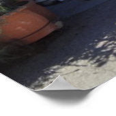 Grecian House Poster (Hoek)