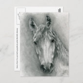 Greco Briefkaart (Voorkant / Achterkant)