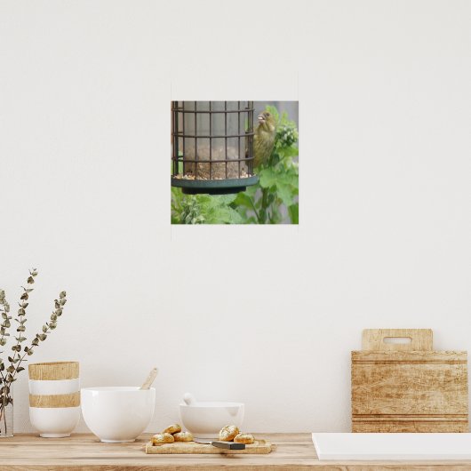 Greedy Greenfinch Print (Keuken)