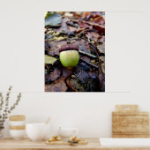 Green Acorn in de Bossen Poster (Keuken)