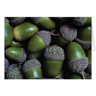 Green Acorn-noten