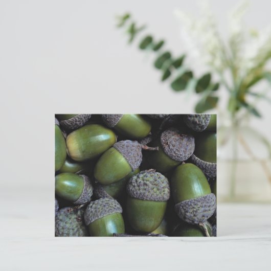 Green Acorn-noten Briefkaart (Staand voorkant)