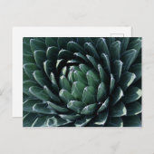 Green Agave Briefkaart (Voorkant / Achterkant)