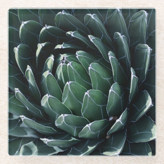 Green Agave Glazen Onderzetter (Voorkant)