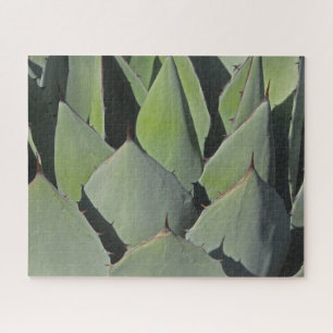 Green Agave Leaves Botanical Photo Southwest Legpuzzel