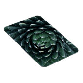 Green Agave Magneet (Rechterzijde)