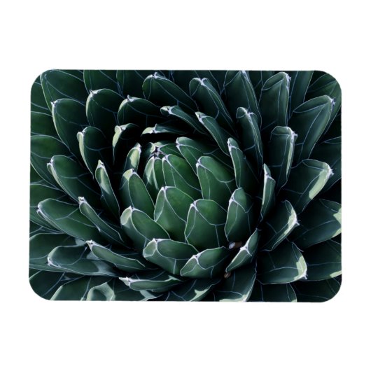 Green Agave Magneet (Horizontaal)