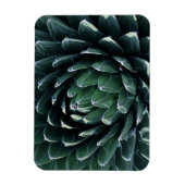 Green Agave Magneet (Verticaal)