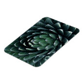 Green Agave Magneet (Linkerzijde)