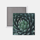 Green Agave Magneet (Voorkant / Achterkant)