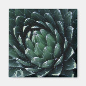 Green Agave Magneet (Voorkant)