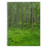 Green Alaska Summer Forest Adventure Carnet (Devant)