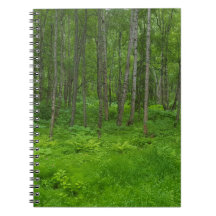 Green Alaska Summer Forest Adventure Carnet