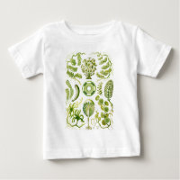 Green Algae