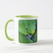 Green Amazon Parrot Mok (Links)
