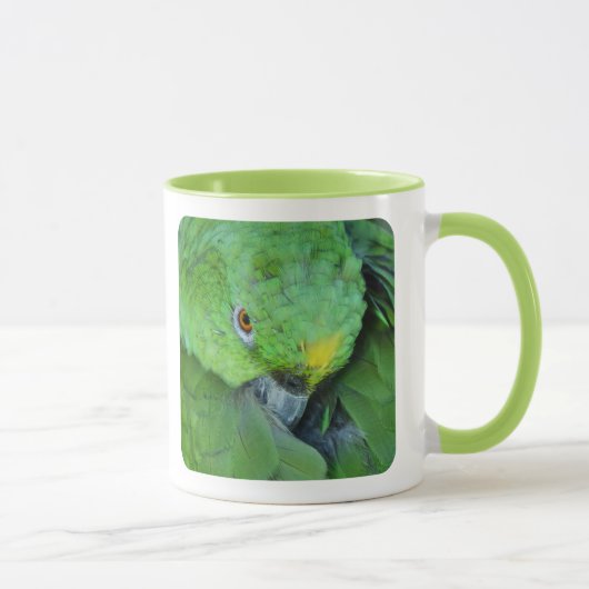 Green Amazon Parrot Mok (Rechts)