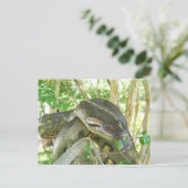 Green Anaconda Briefkaart (Staand voorkant)
