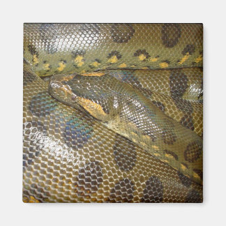 Green Anaconda Magneet