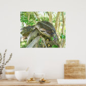 Green Anaconda Poster (Keuken)