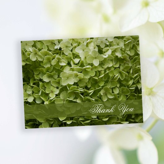 Green Annabelle Hydrangea Floral Briefkaart