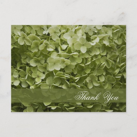 Green Annabelle Hydrangea Floral Briefkaart (Voorkant)