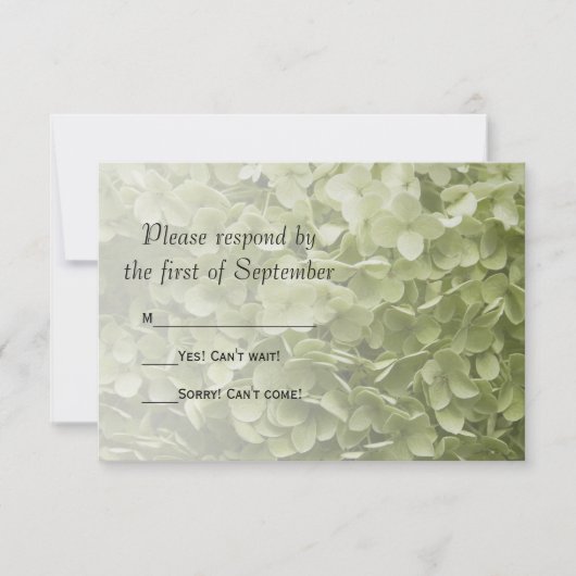 Green Annabelle Hydrangea Floral Wedding RSVP (Voorkant)