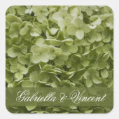 Green Annabelle Hydrangea Floral Wedding Vierkante Sticker (Voorkant)