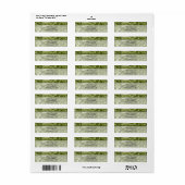 Green Annabelle Hydrangea Flower Return Address Etiket (Full Sheet)