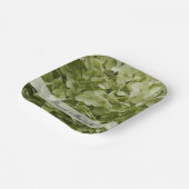 Green Annabelle Hydrangea Flowers Wedding Papieren Bordje (Gebogen)