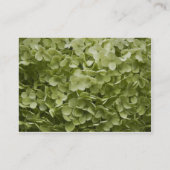 Green Annabelle Hydrangea Mariage Cartes de (Dos)