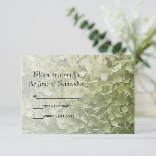 Green Annabelle Hydrangea Mariage Floral RSVP (Debout devant)